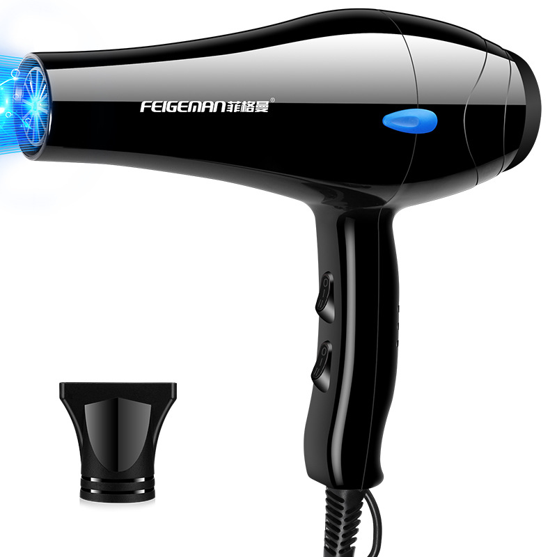 Fiegerman home hair dryer