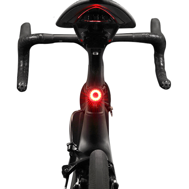Bicycle taillight warning light