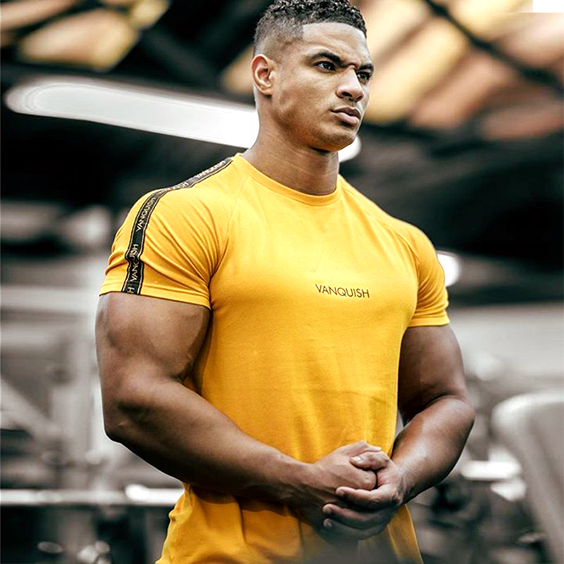 Men's Sports Raglan Sleeve Short Sleeve