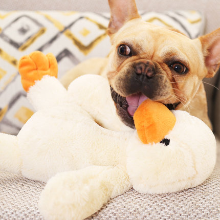Sleeping dog toy