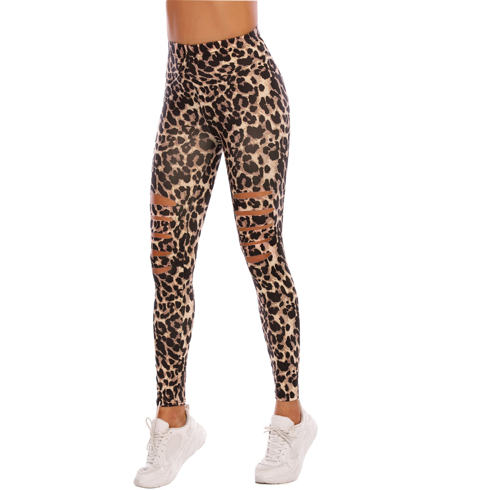 Leopards printed tight ripped leggings