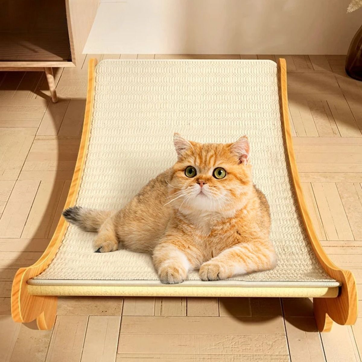 Wooden Cat Scratching Board Multifunctional Cat Bed Removable Wear-resistant Cat Scratching Board Kitten Grinding Cat Toy