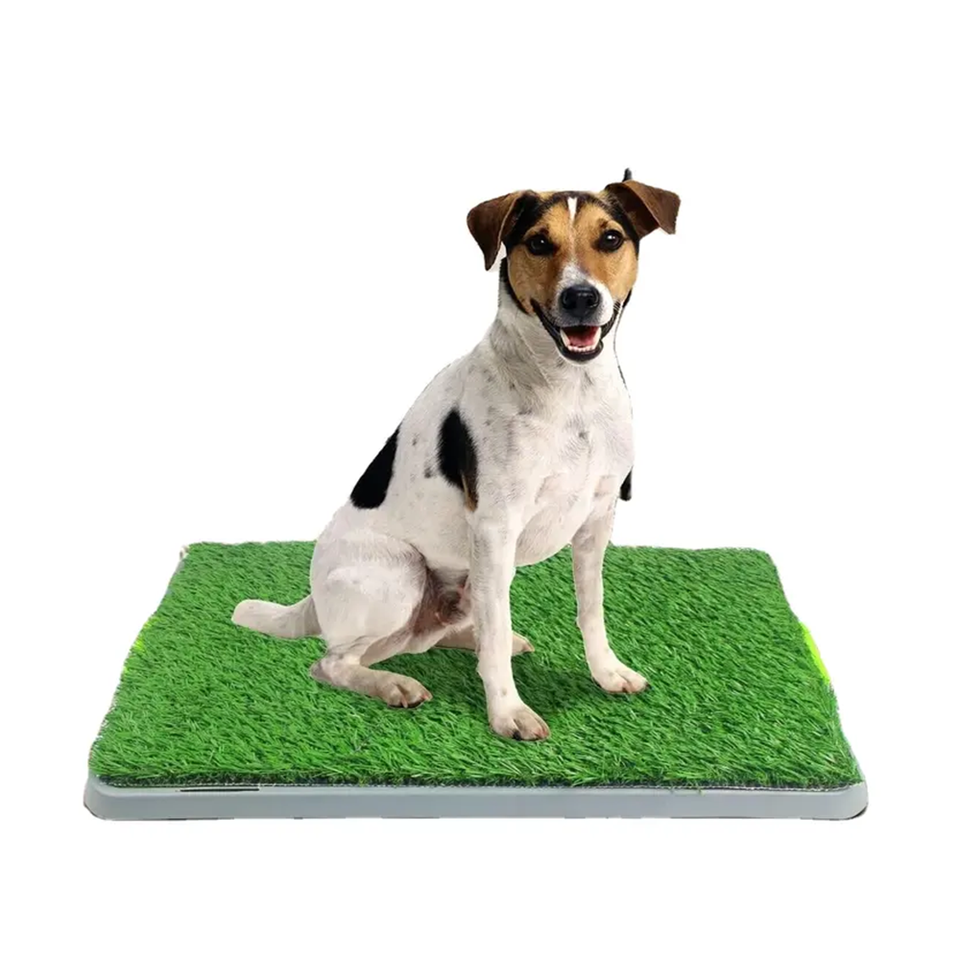 Customizable Dog Potty Trainer Blanket Little Dog Toilet Artificial Turf Synthetic Grass For Dogs Toilet Pee Potty Training