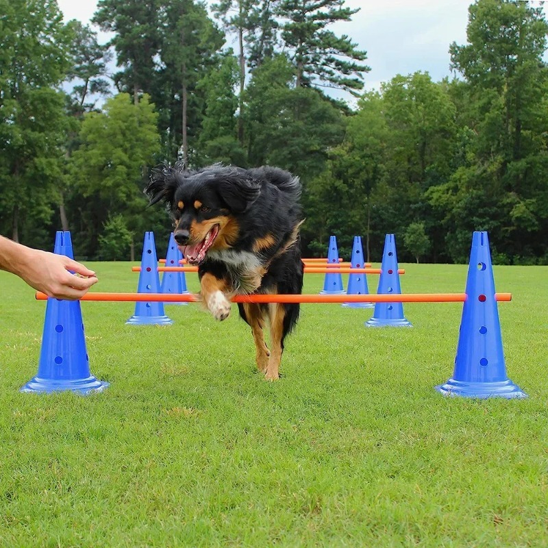 Obstacle Training Equipment Set for Pet, Agility Training, Jumping Bar, Dog Training Device, Pet Supplies dog toy