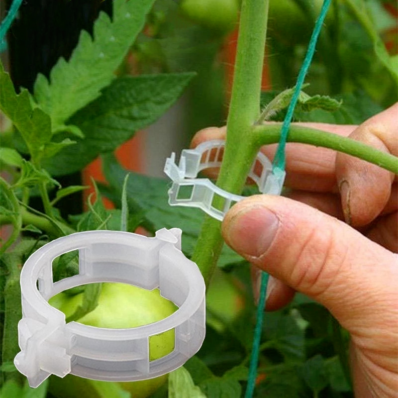 50pcs Plastic Plant Support Clips 23mm Reusable clamps for Hanging Tomatoes vine fixed stand growth Garden Greenhouse supplies