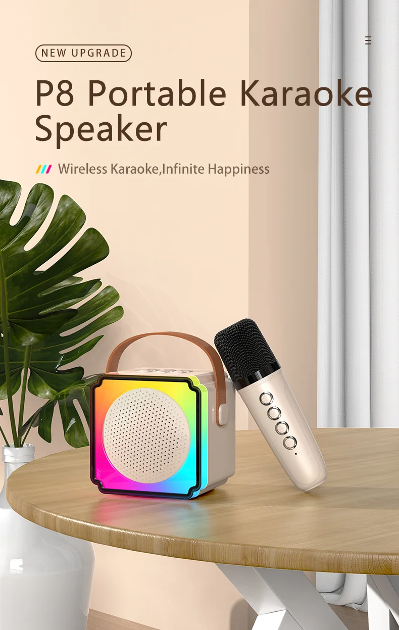 Karaoke speakers