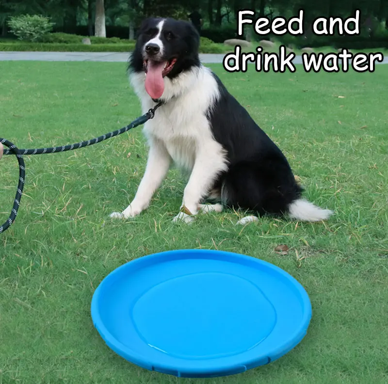 Slitstark frisbee för hund