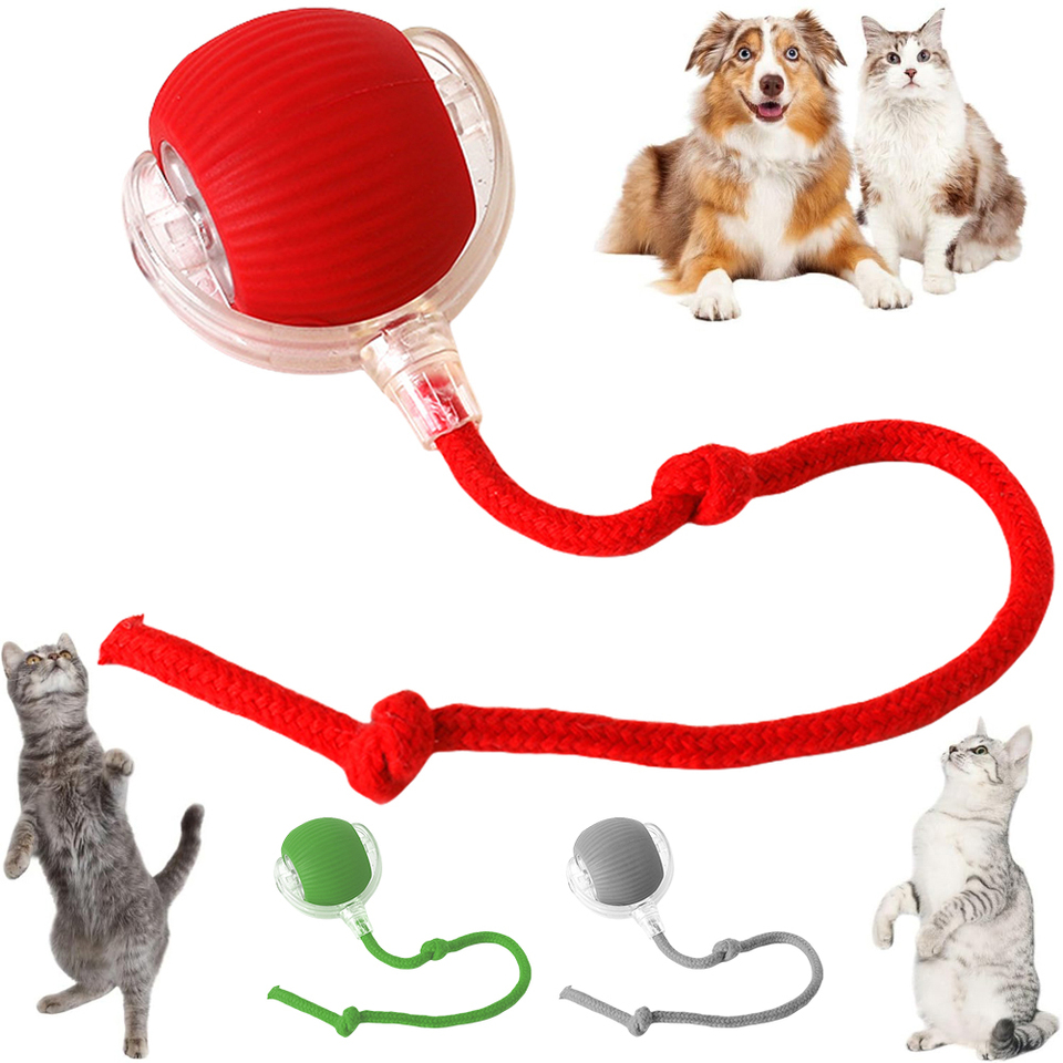 Interactive Cat Toys Ball Automatic Bouncing Ball Type-C Charging Motion Activate Cat Toy 3 Modes with Rope Pet Supplies